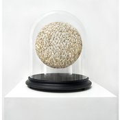 Alastair Mackie : I was there in Arcadia