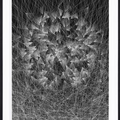          Caught by the Nest, Kai & Sunny, 2013