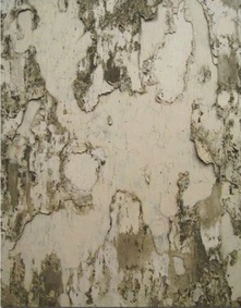 Holding Your Breath to Die, 2011