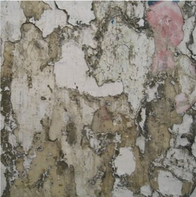 A Newborn Fragile, 2011