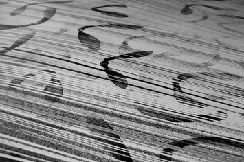 Sycamore seed, detail